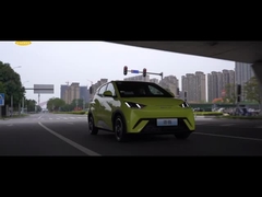 305KM 55KW BYD EV 자동차 전기 차량 뉴 에너지 해치백 시글 EV 자동차