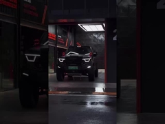 385Nm 185KW 252Ps 4WD 5 좌석 5 문 2.0T 탱크 400 SUV 가솔린 연료 새 차