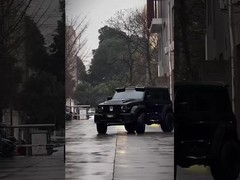 좋은 상태 신 버전 3.0T 탱크 300 SUV 4WD 하이브리드 EV 가솔린 새 차