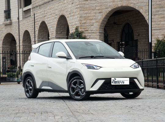 좋은 가격 경쟁력 있는 자동차 공장 2WD BYD EV 자동차 시어 4세터 순수 신 에너지 차량 미니 EV 자동차